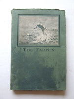 The Tarpon