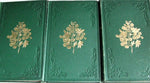 The Flowering Plants of Great Britain
