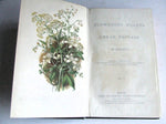 The Flowering Plants of Great Britain