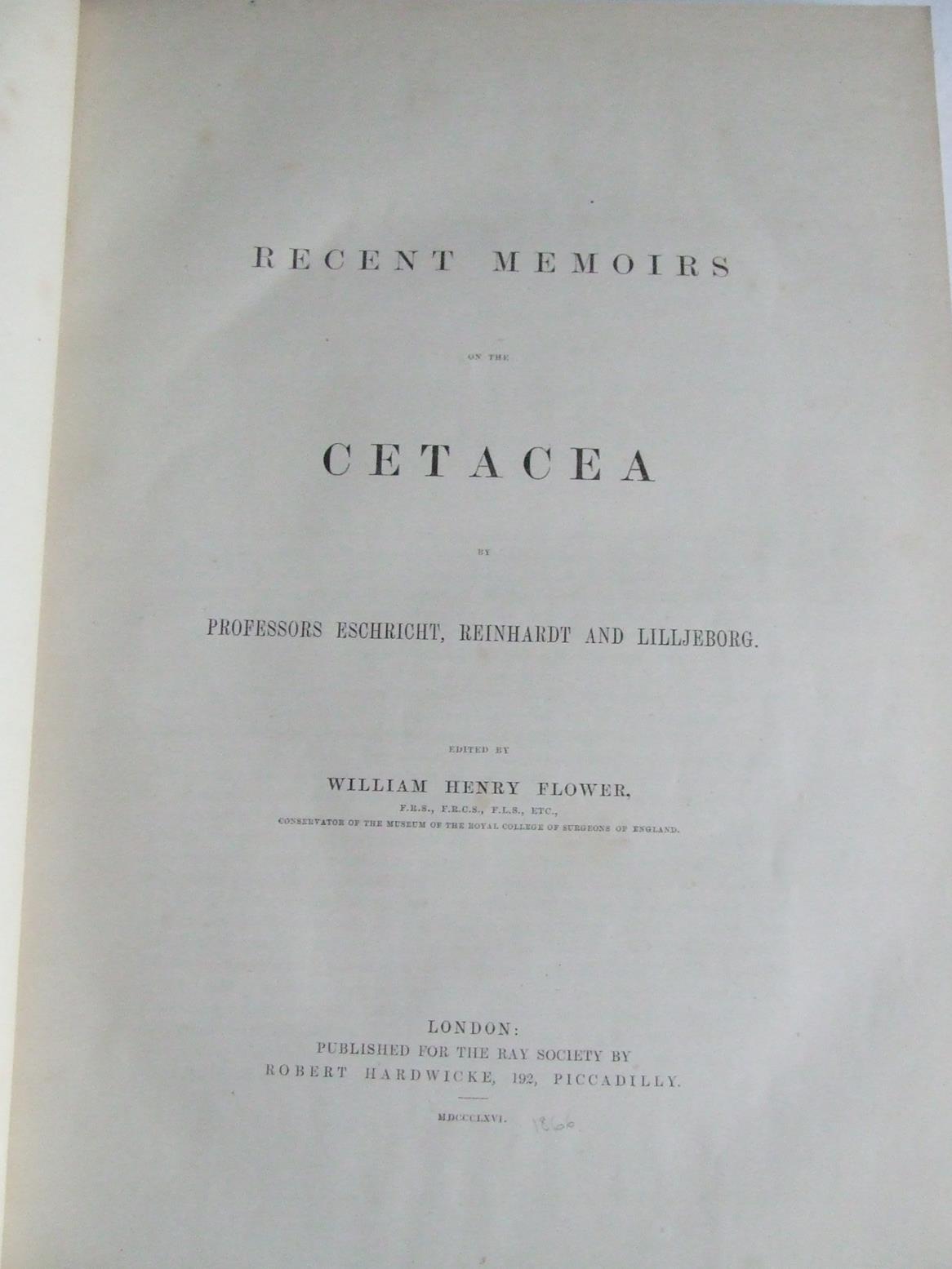 Recent Memoirs of the Cetacea