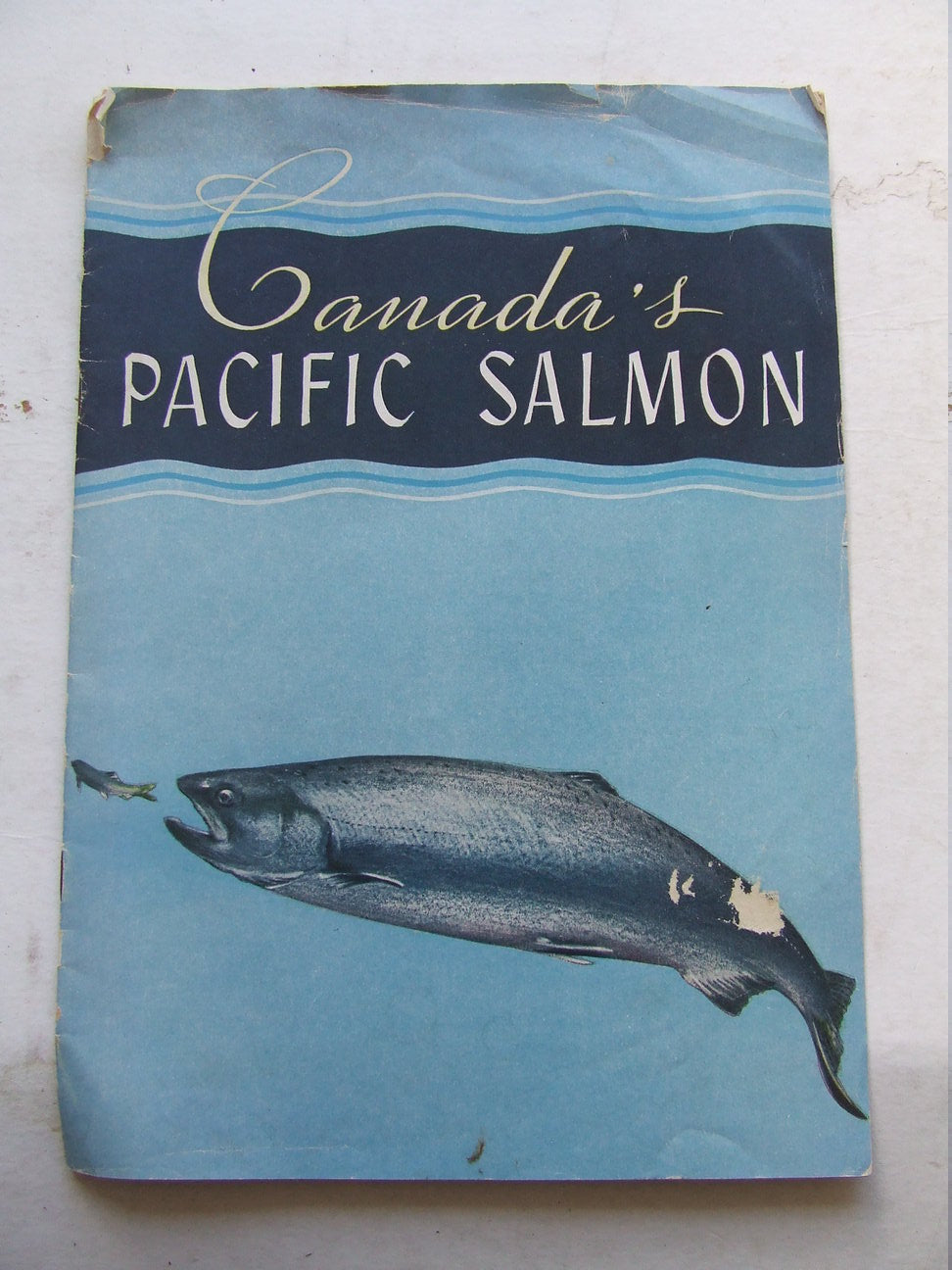 Canada's Pacific Salmon