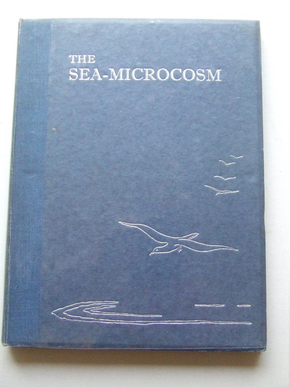 The Sea-Microcosm